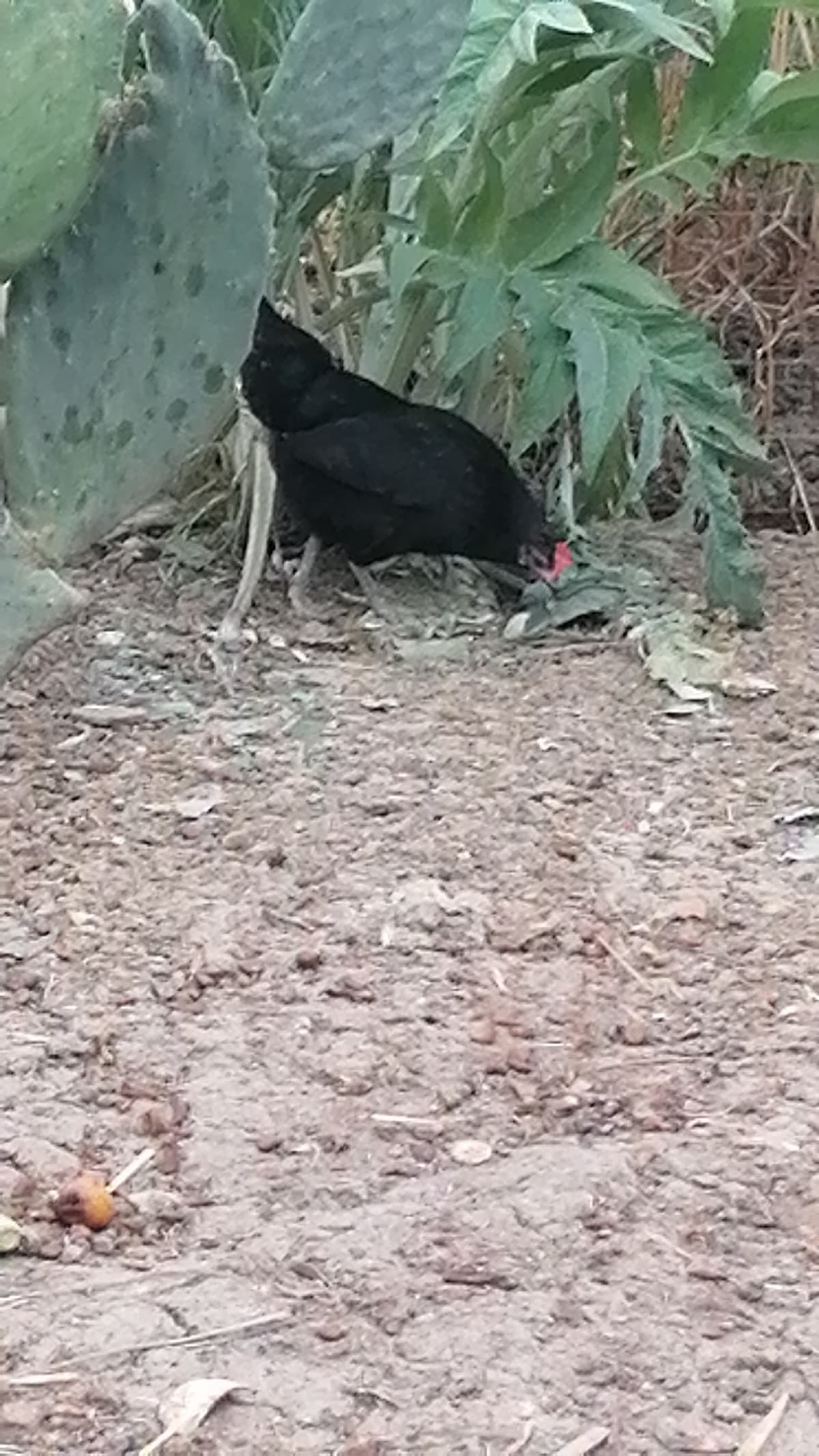 Non i miei compagni che non mandano gli appunti nonostante so benissimo che li hanno e sanno che sono assente e ne ho bisogno ?