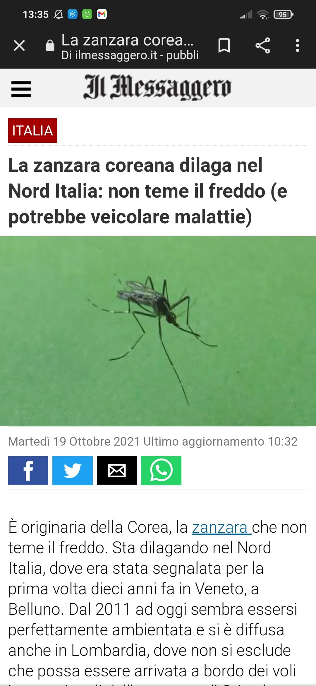 Ecchecazzo zanzare in inverno no dai