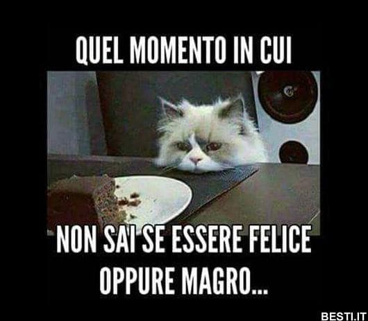 sono io in questo momento...?