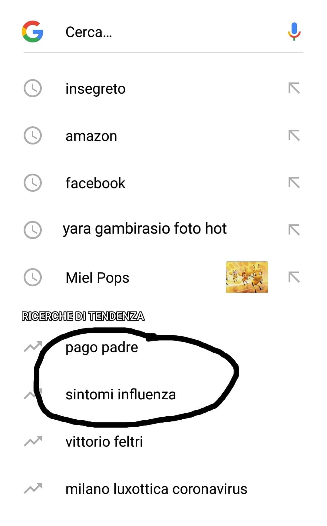 Ma chi è il coglione che cerca "pago padre" e "sintomi influenza" su Google? 