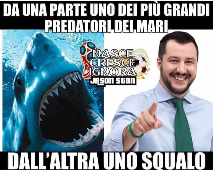 Salvini vs ONG