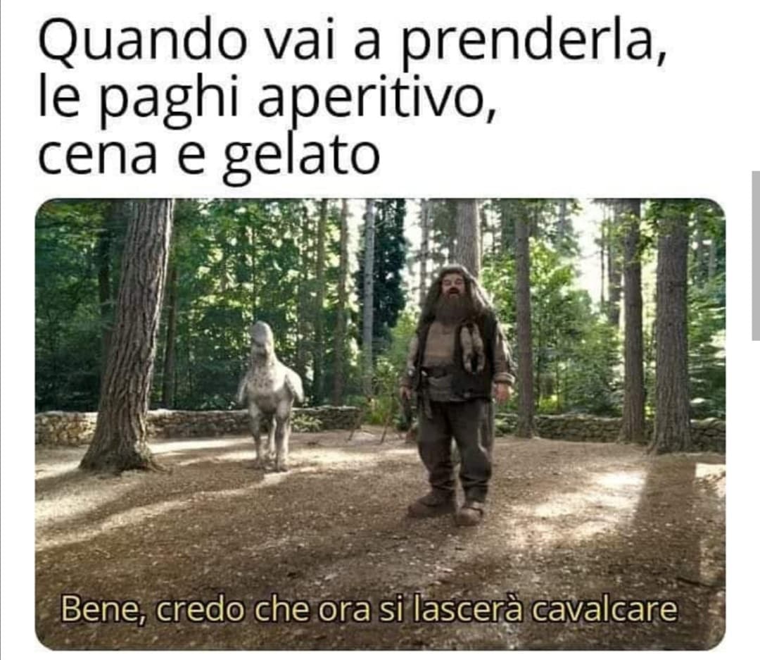 Com'è giusto che sia 