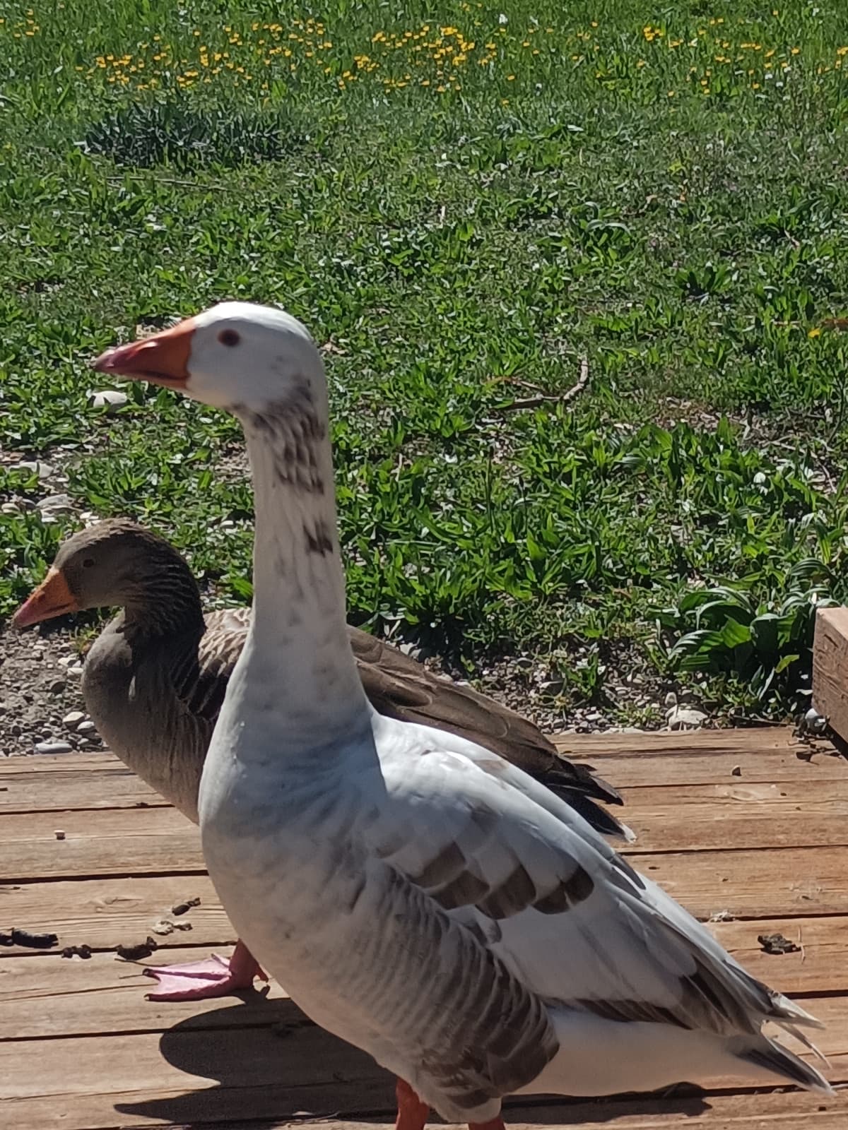 Oggi è stata una bella giornata di sole, speriamo lo sia anche domani 