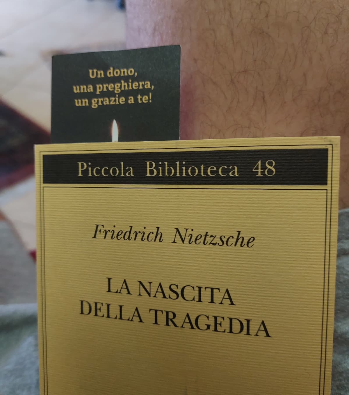 Leggere Nietzsche con questo segnalibro è top >>>