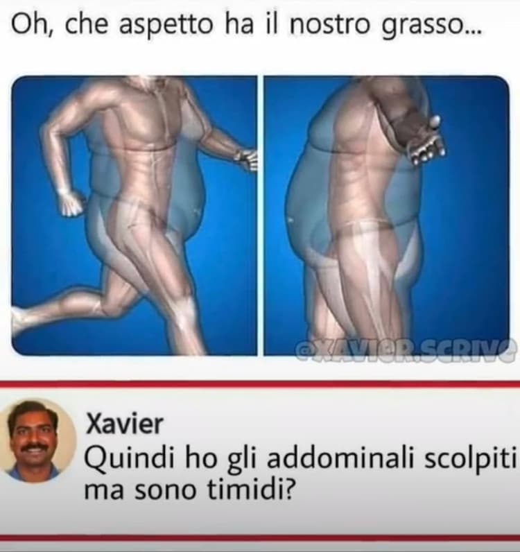 Ha ragione Xavier 