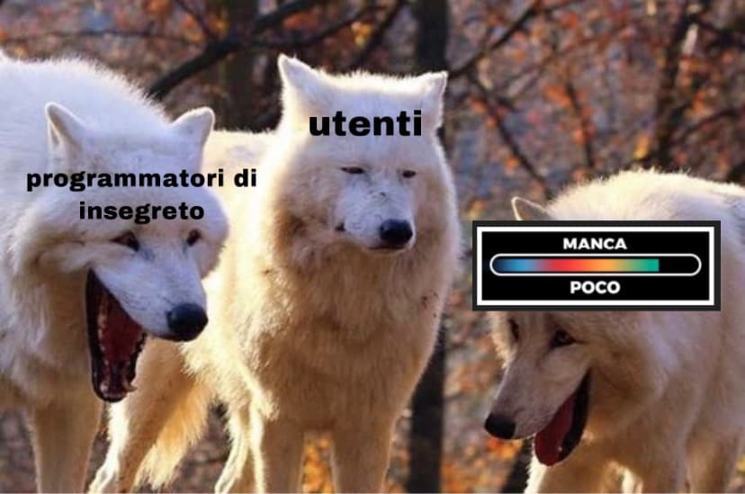 non so cosa mi sono persa