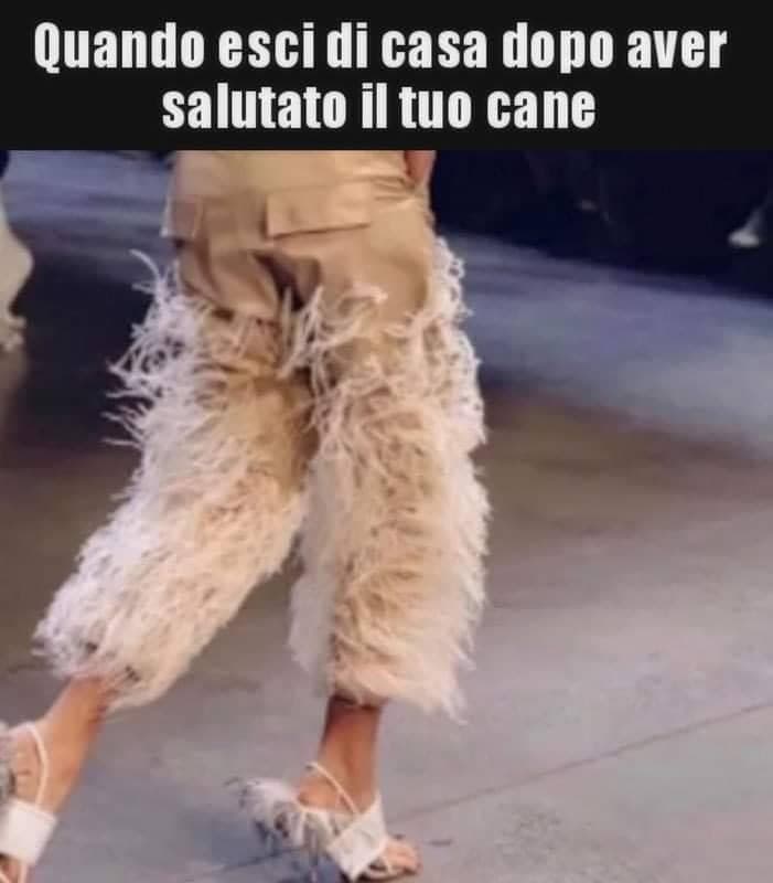 Vale anche per il gatto comunque ? 