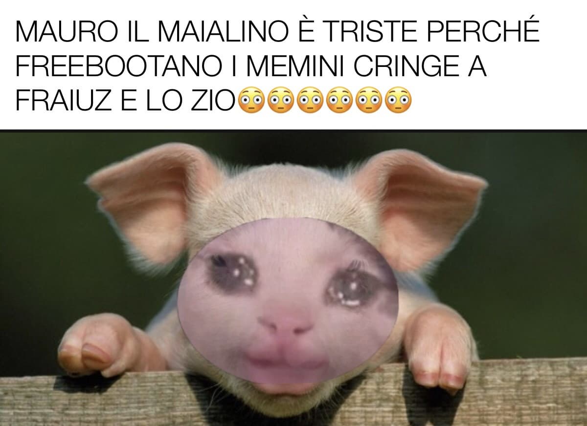 dai Mauro non piangere 