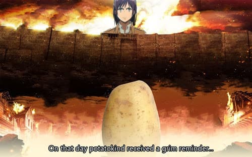 Attack on Sasha 