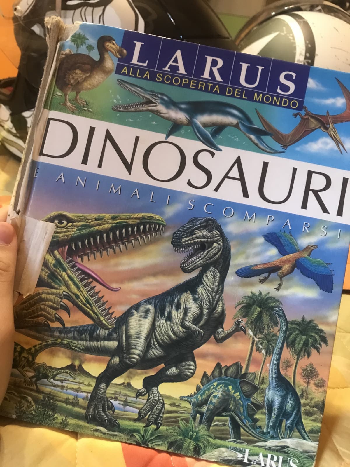 Tutti i miei libri sui dinosauri in ordine casuale e spiegati (quelli che ho sul l'ebook ve li mostro dal PC per comodità) 