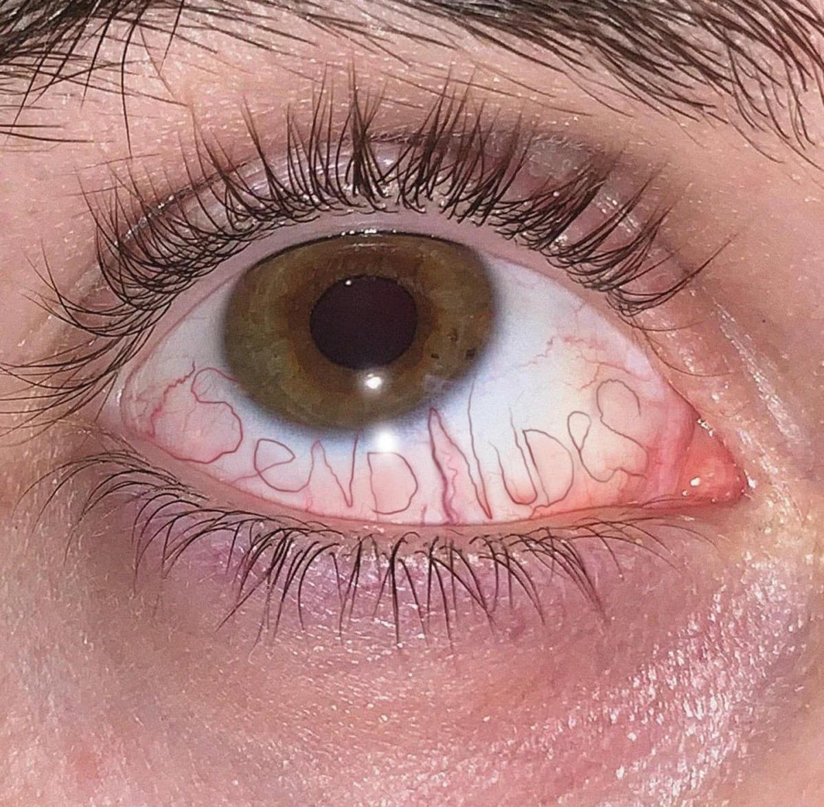 Average insegreto user's eye