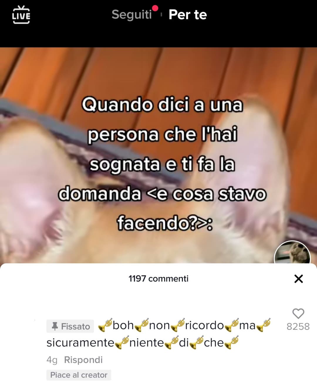 Ho il raffreddore