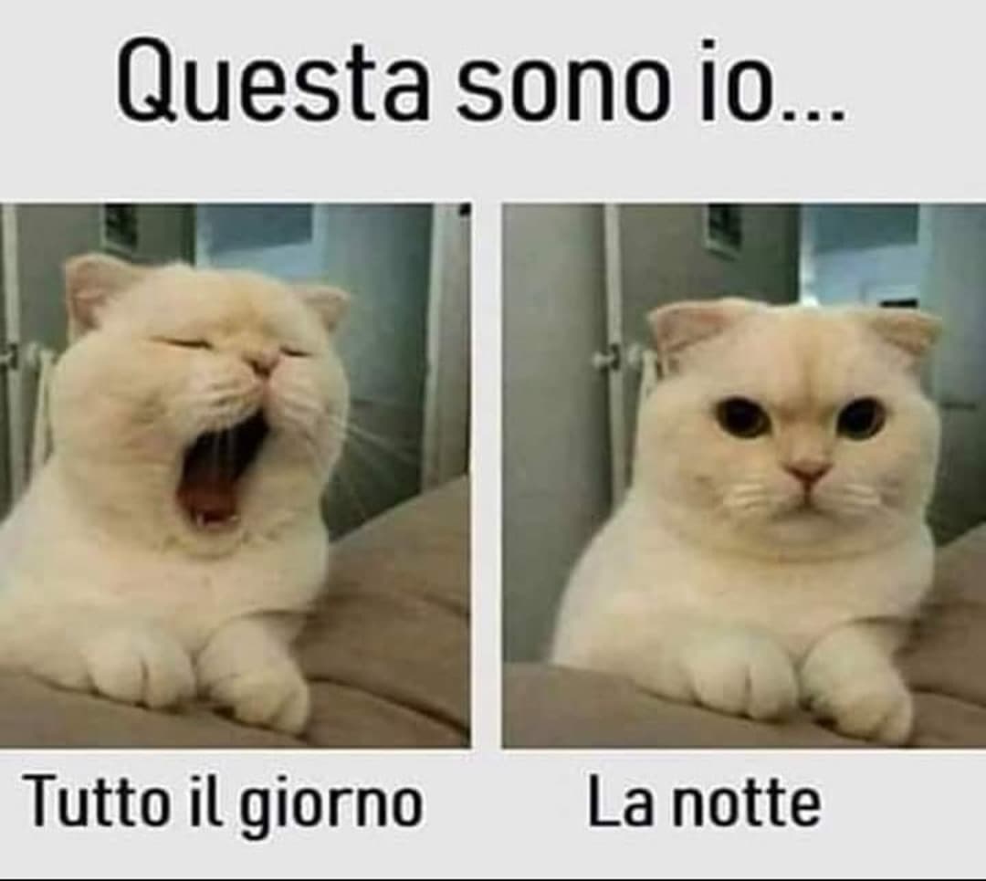 *titolo bellissimo*