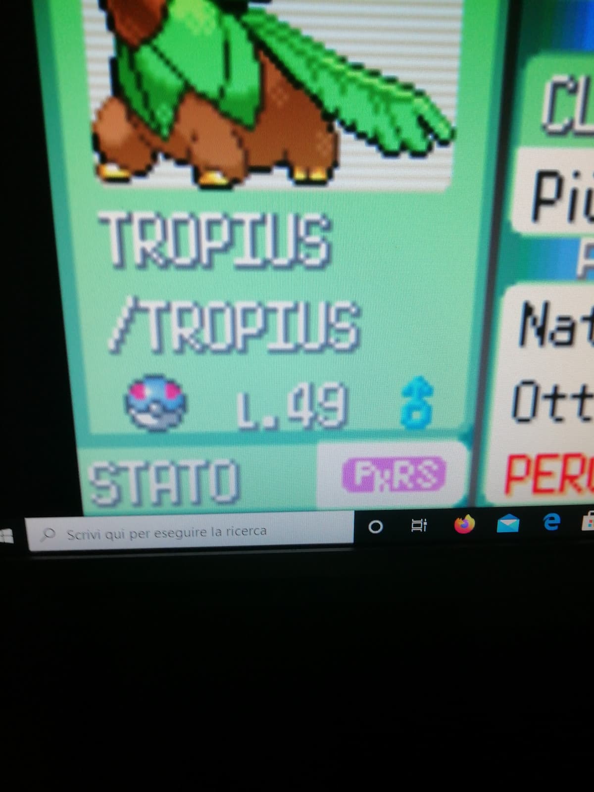 Wow pure i miei pokémon hanno il virus ?