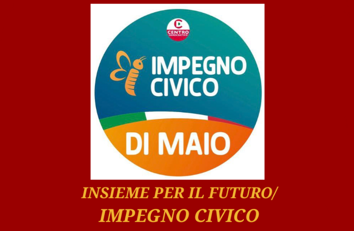 Vediamo il partito di Di Maio