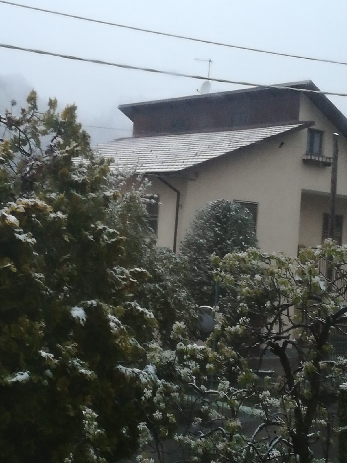 Io devo andare a scuola e NEVICA