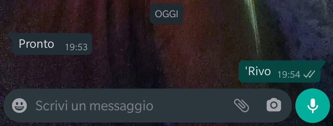 Le chat con il mio bro be like: