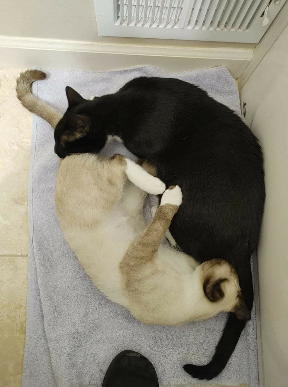 Yin yang