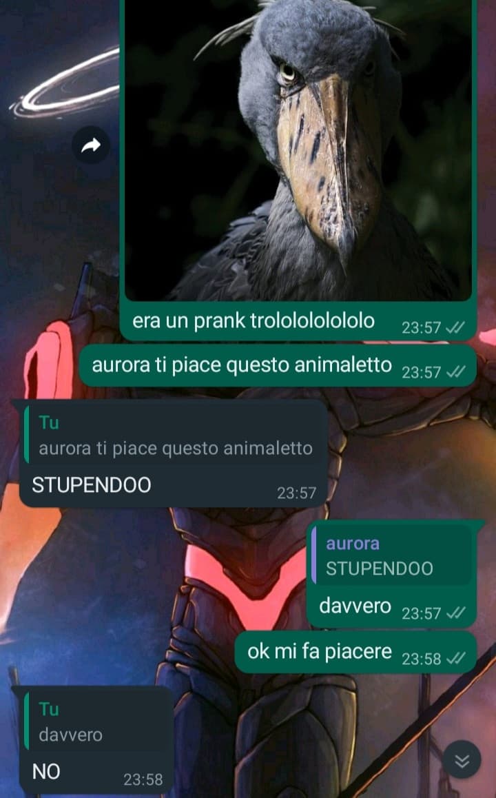 la mia spassosissima chat con la mia spassosa sorella scema baka baka baka