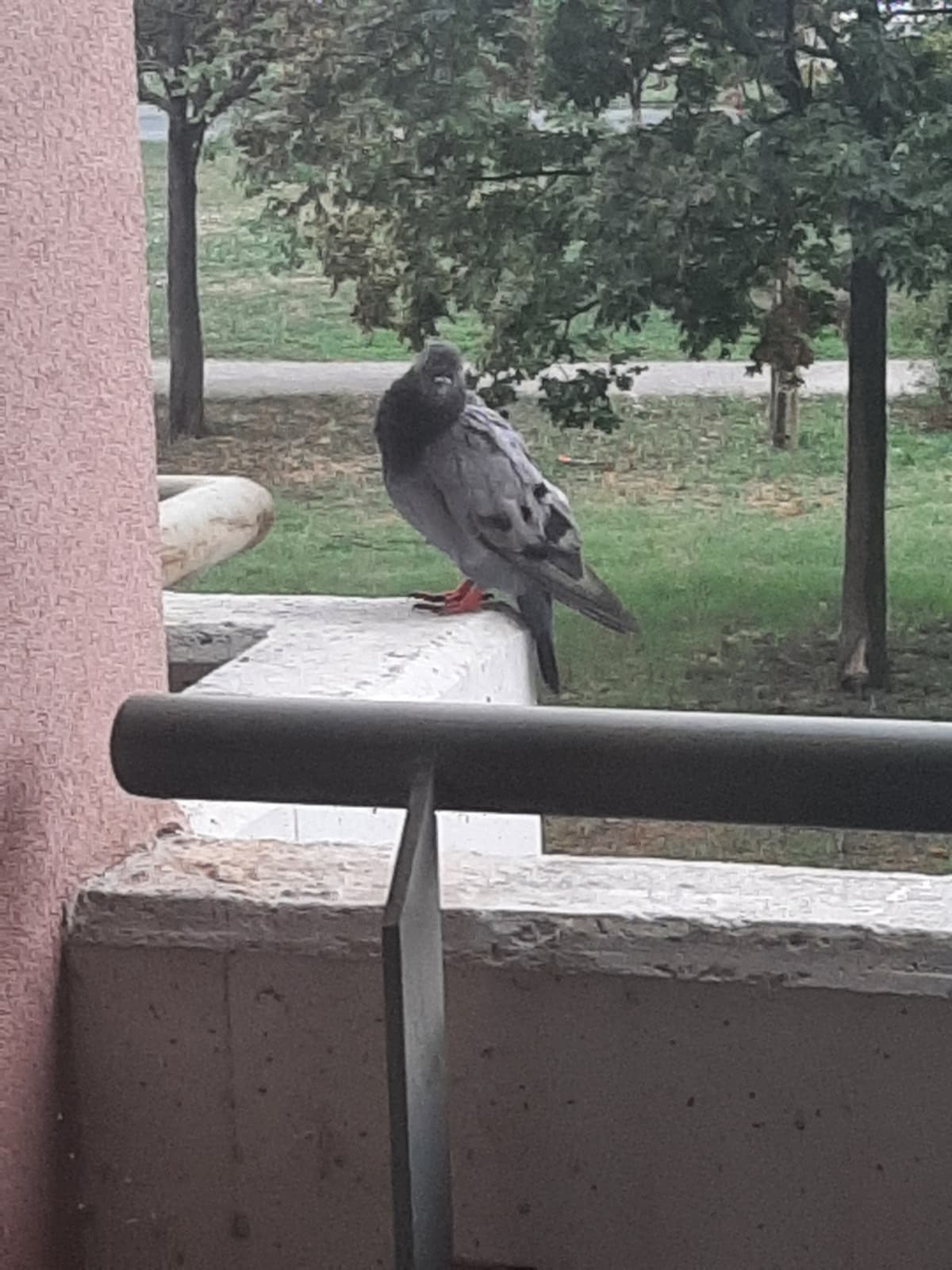 Com'è il tempo da voi? Da me ci sta il temporale.