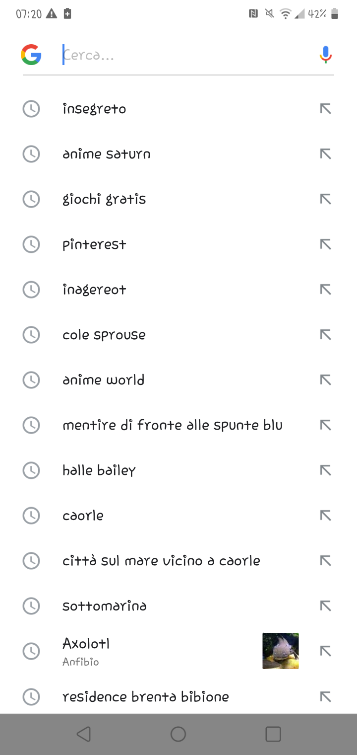 Questa è la mia cronologia google