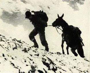 Adoro gli alpini 