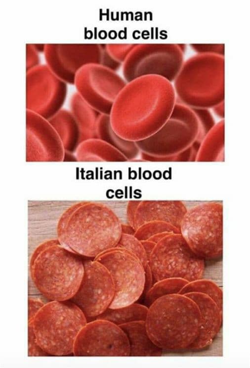 non mi piace il salame