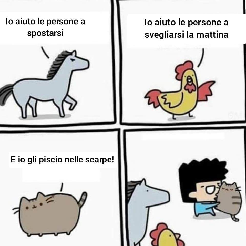 Beh è vero