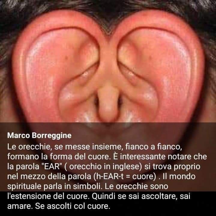 L'orecchio del cuore. 