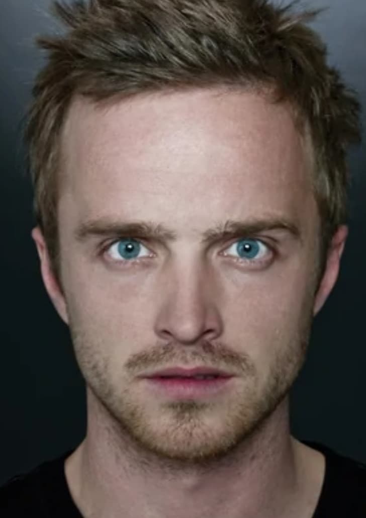 Cioè ma ditemi se Jesse Pinkman e Aaron Paul non sono identici: