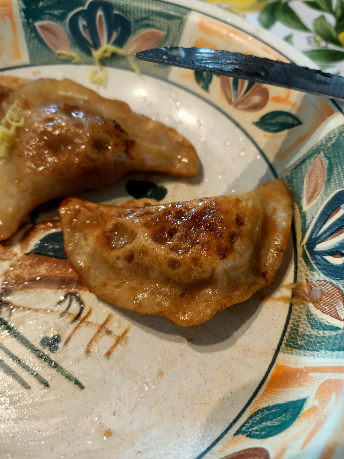 Ecco i miei gyoza (ravioli cinesi con carne di maiale)