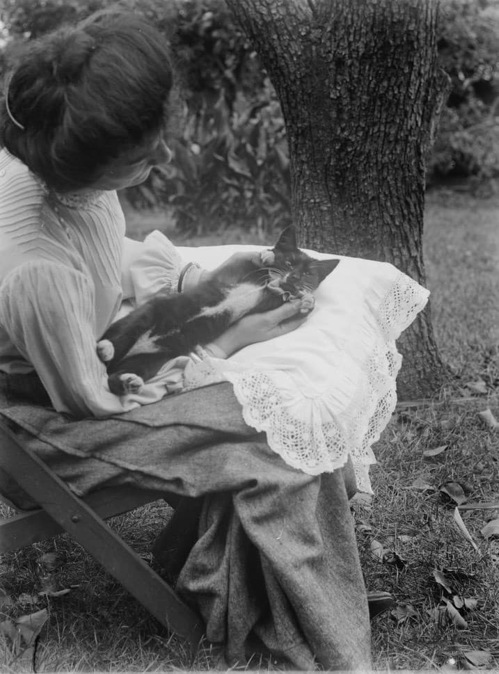 Mrs. Batten e il suo gattino, 1904 ?