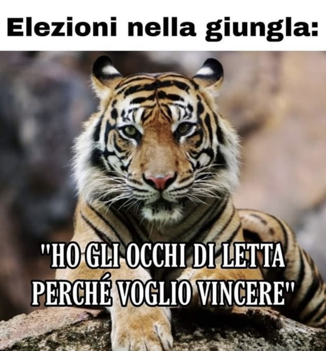 Leggevo beatamente un breve sunto sulle basiliche paleocristiane, quando in maniera del tutto casuale mi è venuta in mente una cosa 