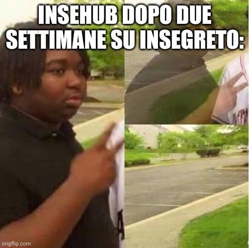 Ma qualcuno sa che fine ha fatto insehub?