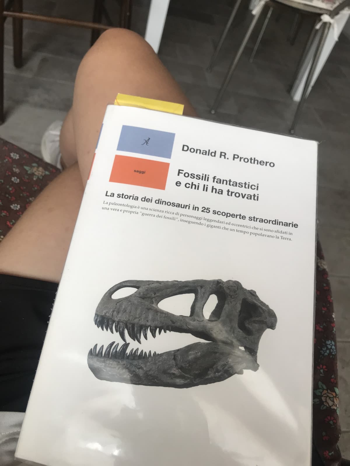 Libro, musica classica mega chill alla tv, cane sotto lo sdraio, mio fratello al piano di sopra che guarda Lyon con l'audio a 20 miliardi