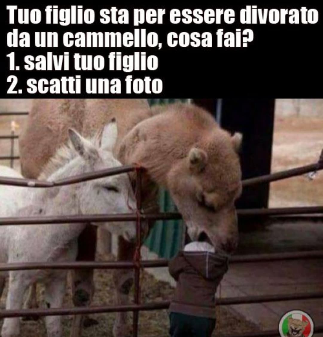 Ovvio..