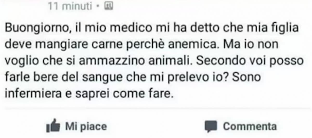 Altri commenti di vegani in arrivo ( controllate la mia cartella shouts)