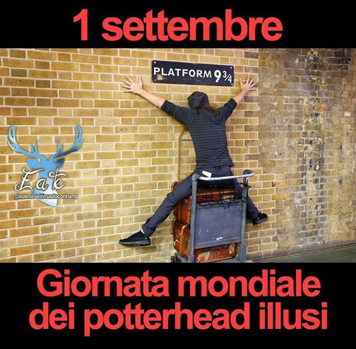 E anche quest'anno, la lettera di hogwarts arriva l'anno prossimo ?✉ 