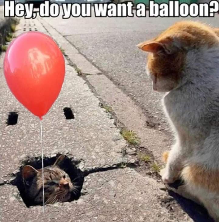 Do you want a balloon?! ? 