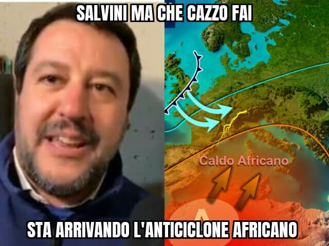 Salvini svegliati