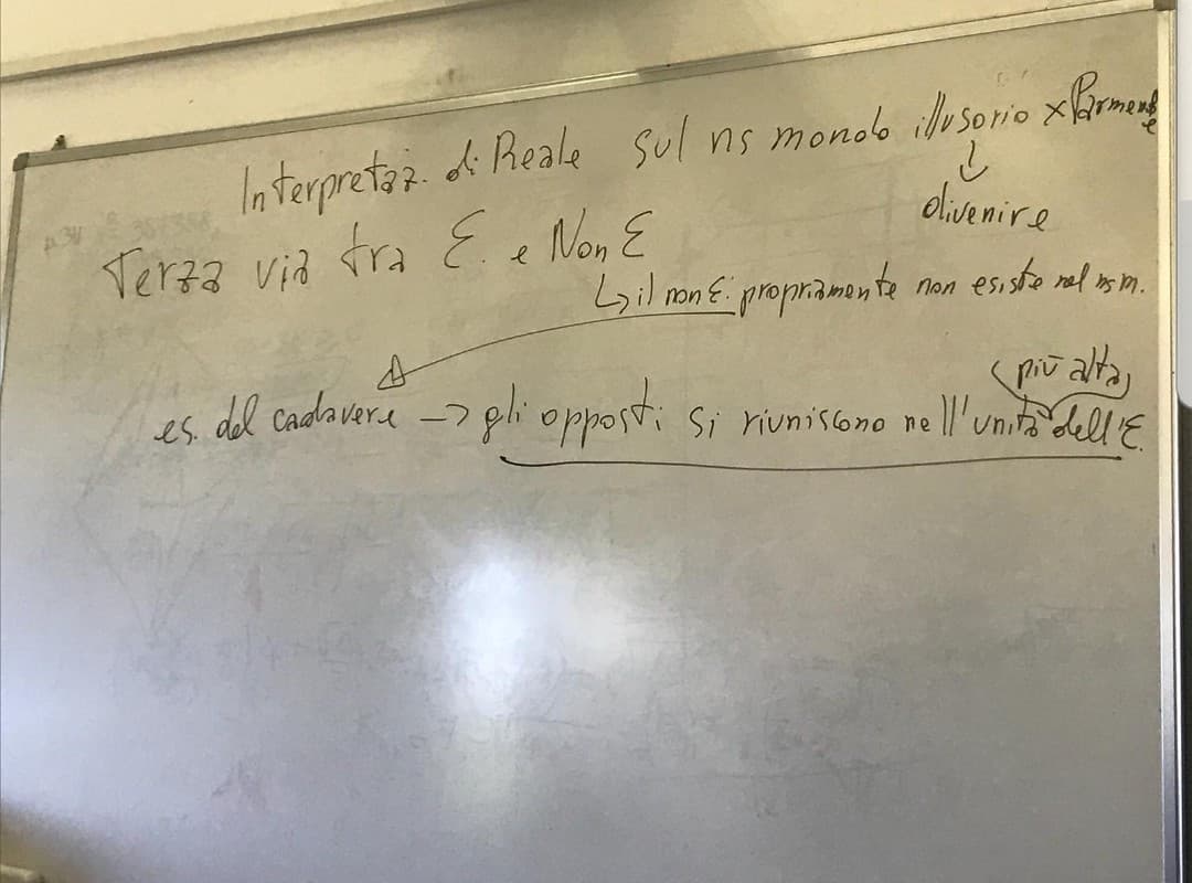 Ditemi se è normale che un professore di filosofia faccia schemi alla lavagna in questo modo