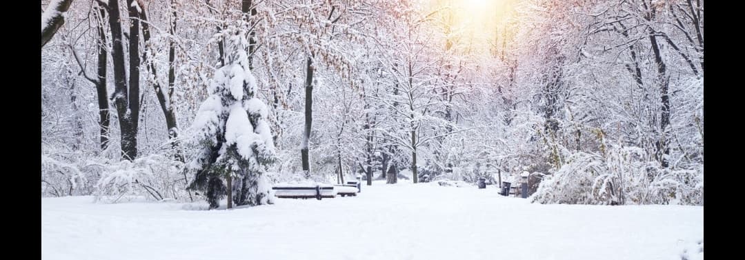 ho un botto voglia di vedere la neve