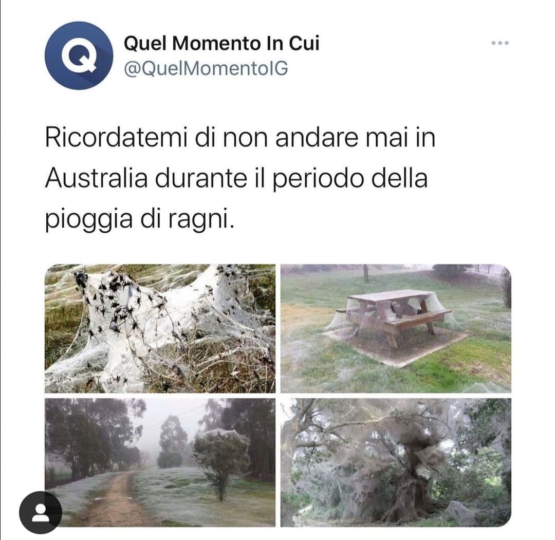 Ho cambiato idea sull Australia.... 