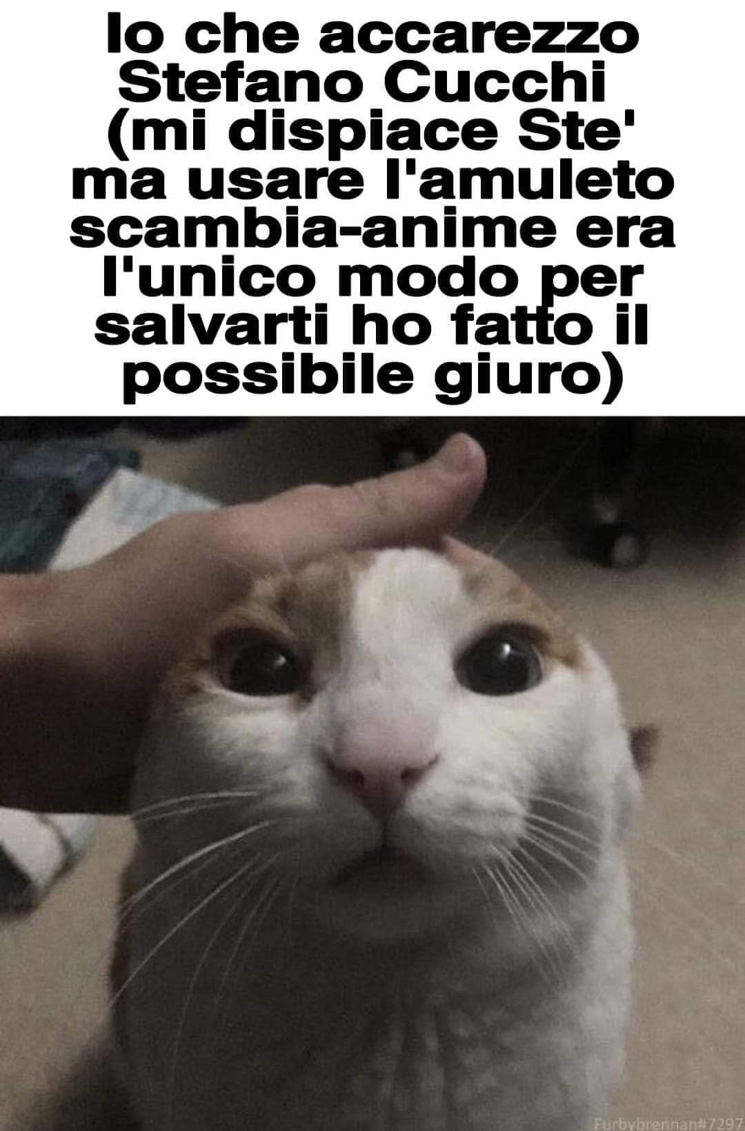 Povero Stefano.