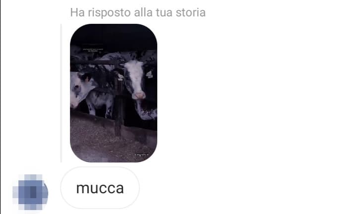 Pov: il mio amico dell'America Latina a cui sto insegnando l'italiano