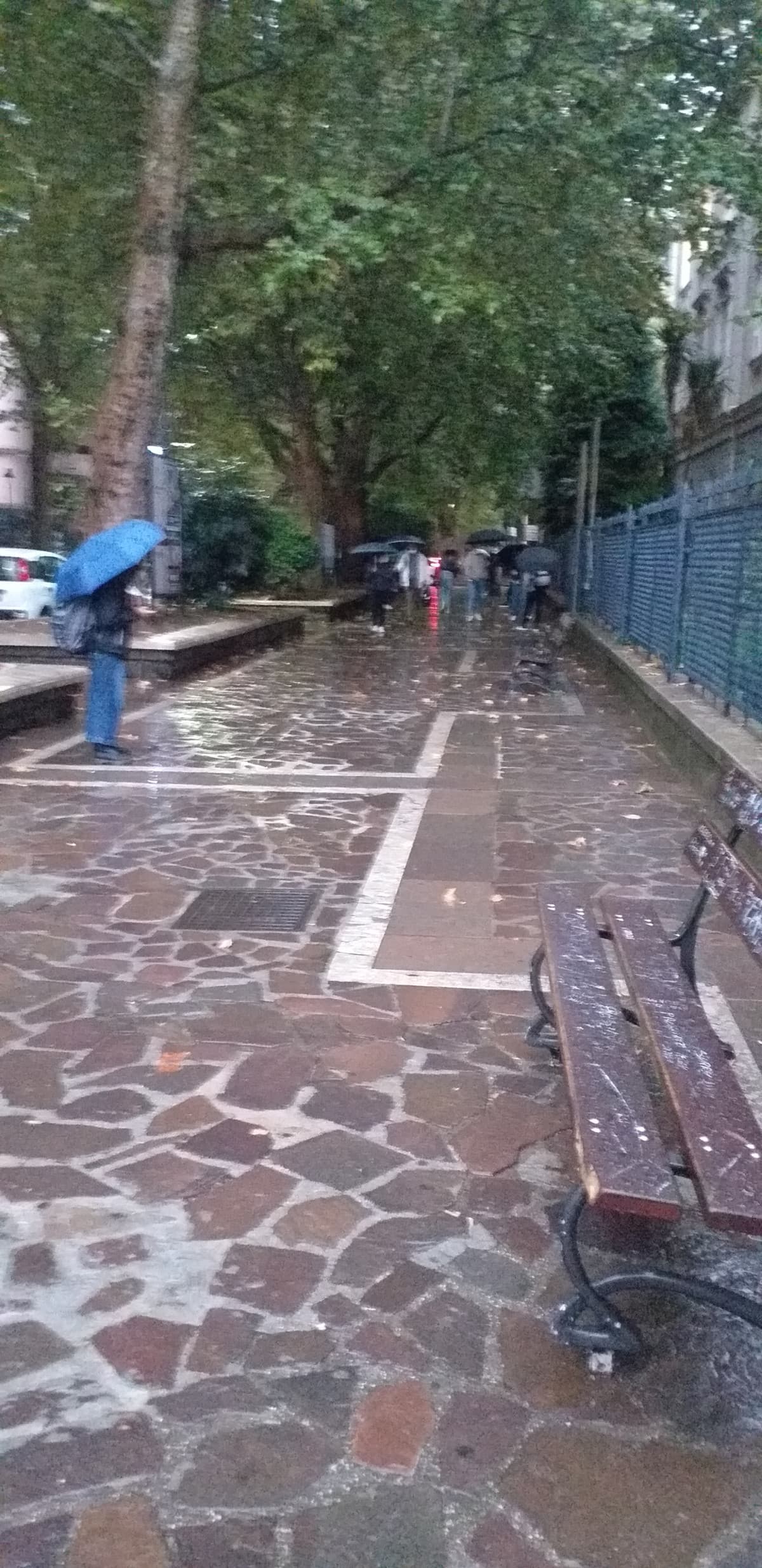 non si vede ma sta diluviando. prima era tutto buio. sono felice anche se devo andare q scuola 