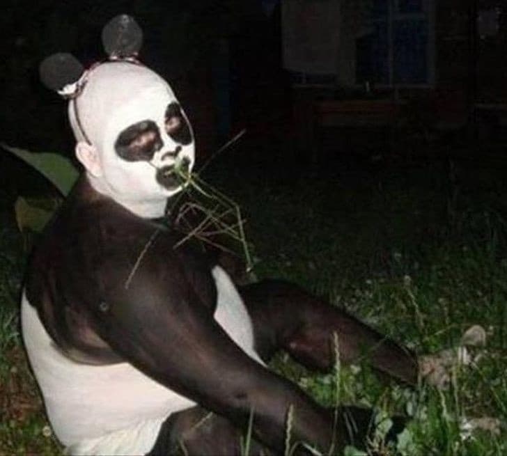 Un panda... 