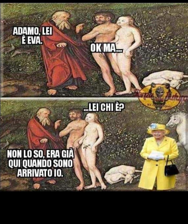 Adesso questi meme sono dolorosi 