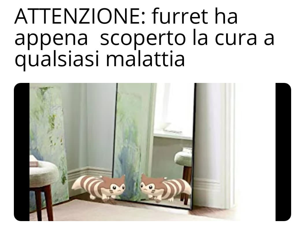 Grazie furret