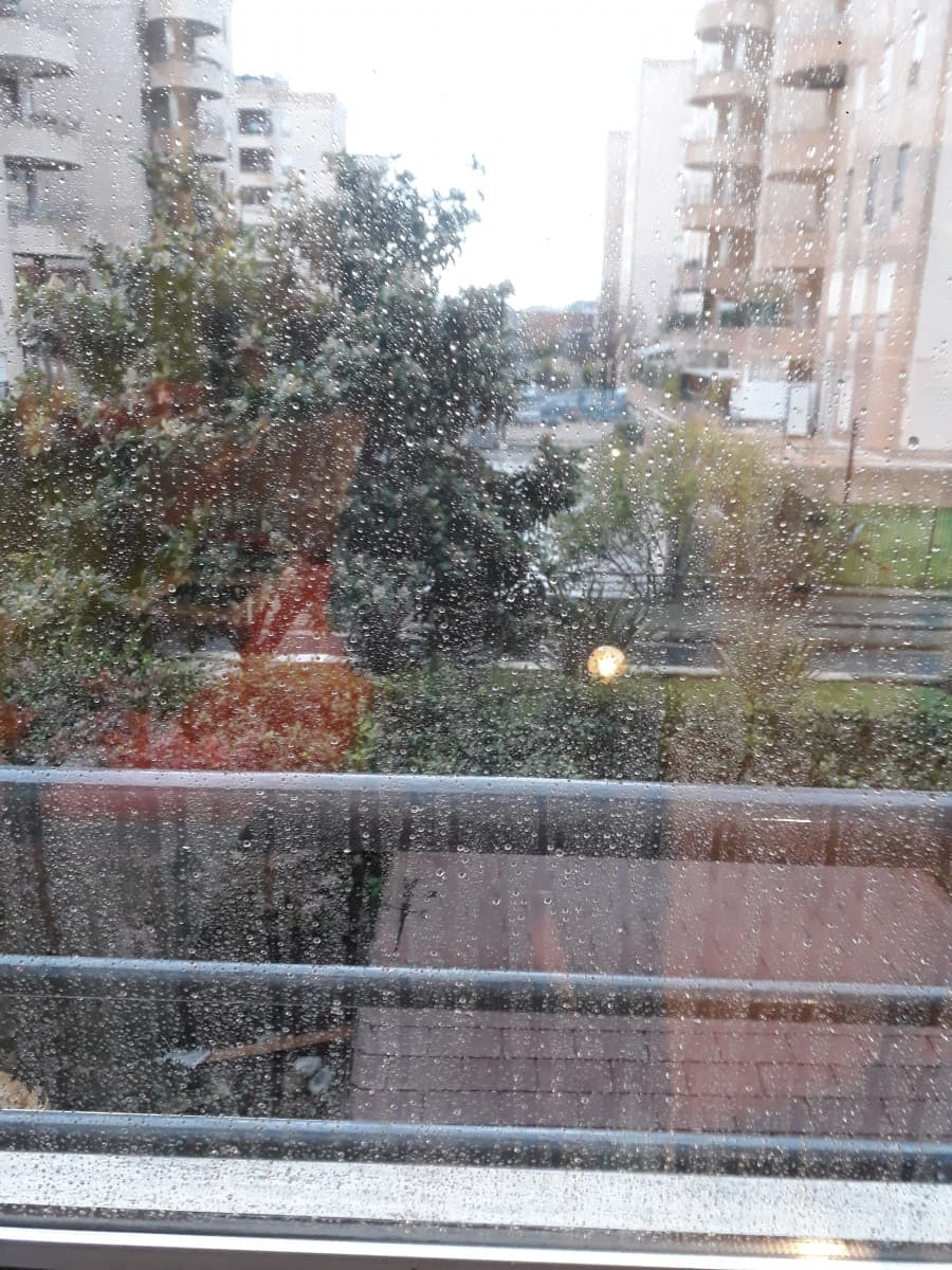 Ah, che bella la pioggia??☔☔